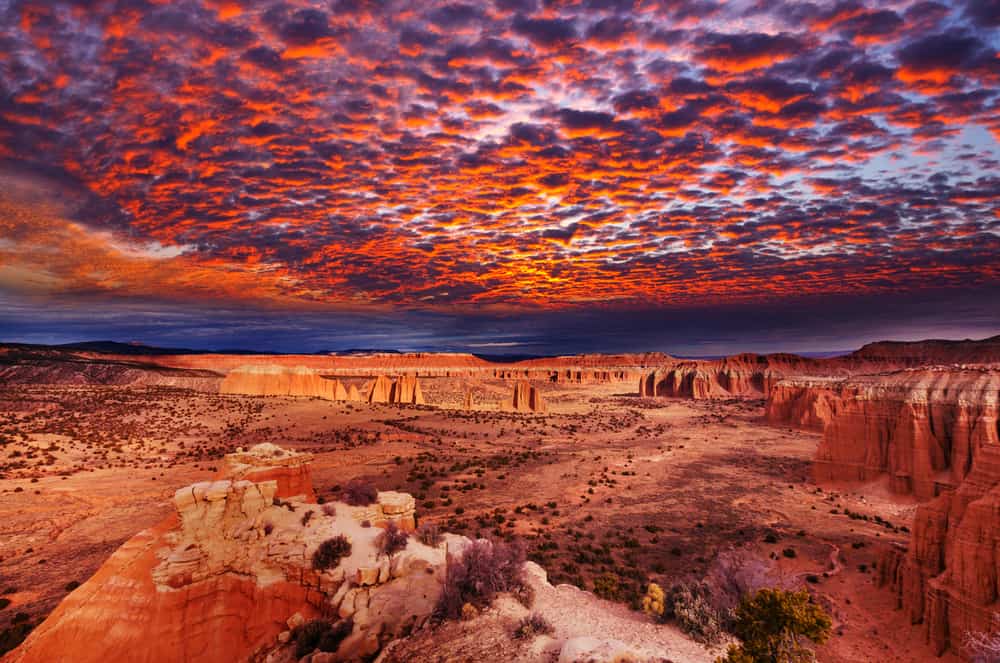 How To Spend One Day In Capitol Reef National Park Utah American   Capitol Reef 