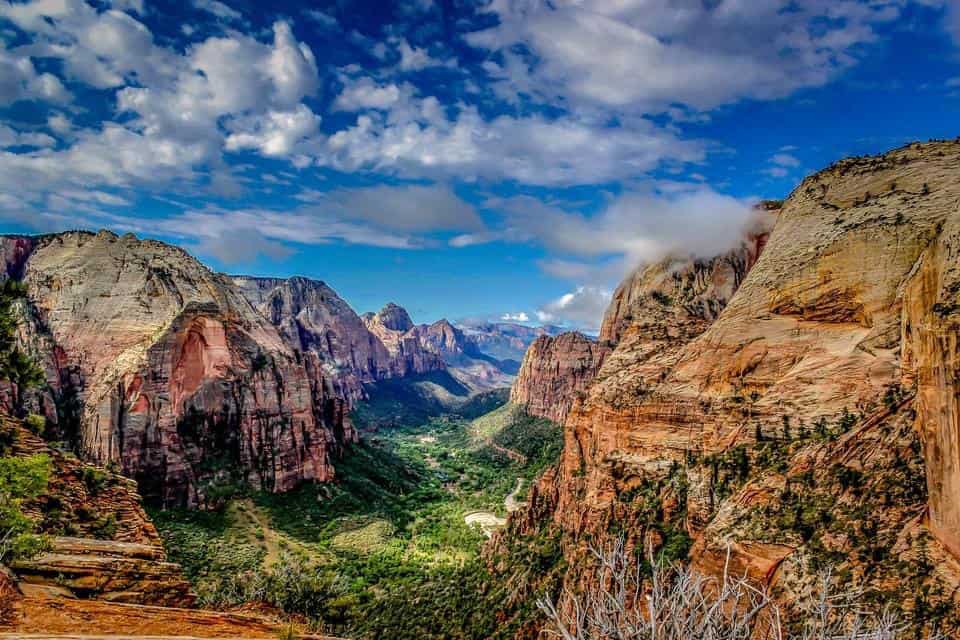 are dogs allowed in zion park